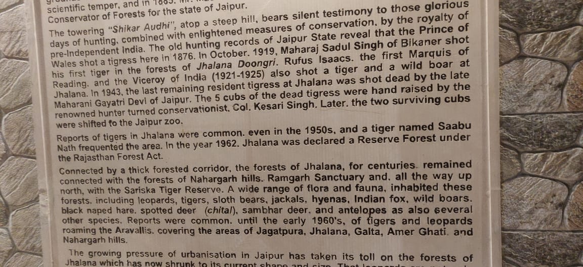 जयपुर वाइल्ड लाइफ झालाना लेपर्ड सफारी,  राजस्थान के प्रमुख वन रिजर्व,  Jhalana Leopard Safari Jaipur Rajasthan,  Rajasthan Wildlife,  Leopard Safari Jhalana Jaipur,  Jaipur Wildlife Jhalana Leopard Safari,  Major Forest Reserve of Rajasthan