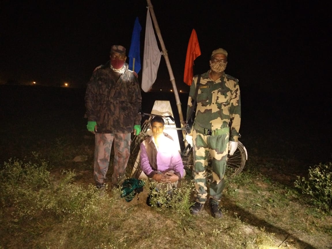 An illegal immigrant nabbed by BSF