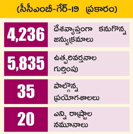 జన్యుక్రమాల వివరాలు