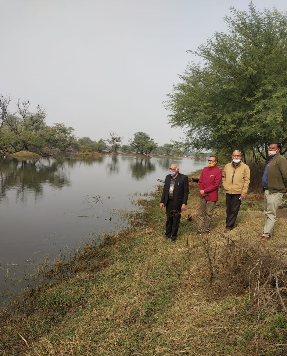 alert in keoladeo national park