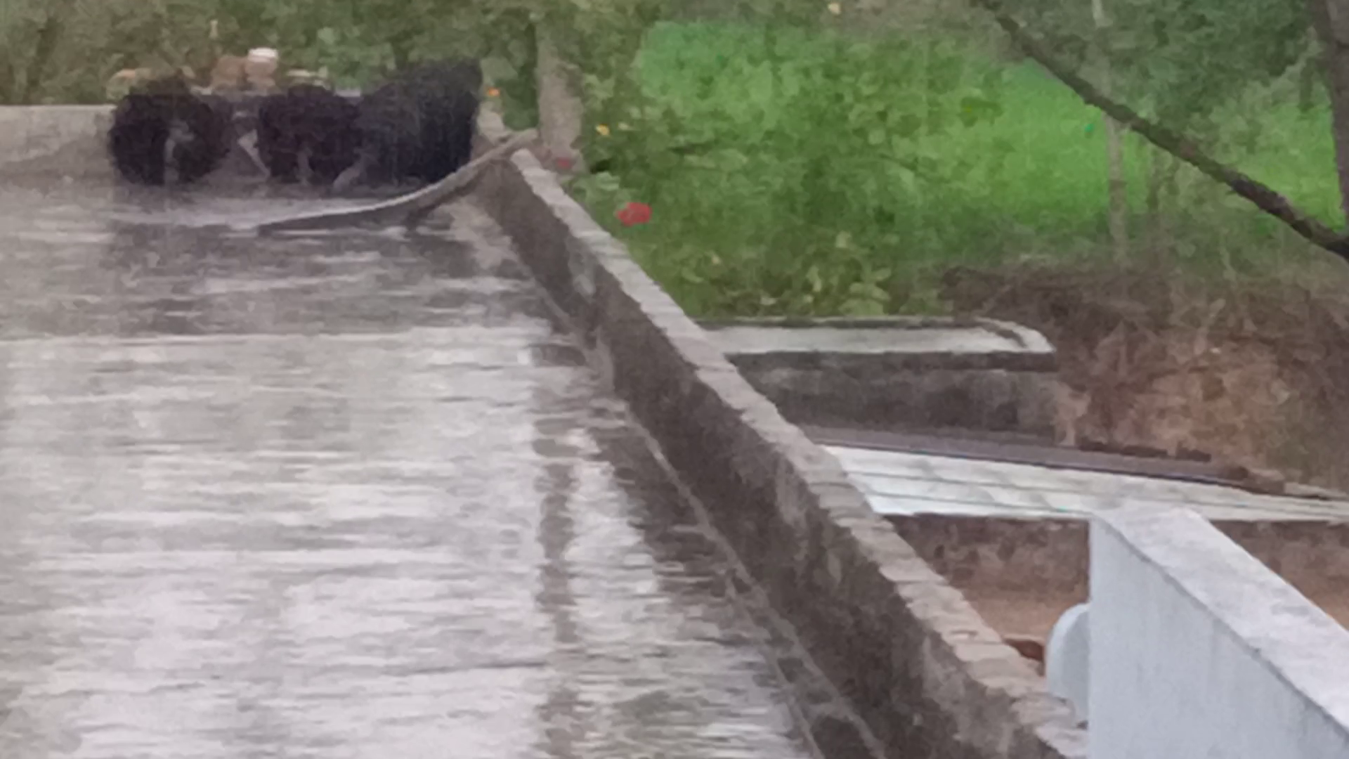 राजस्थान में ठंड, rain in rajasthan