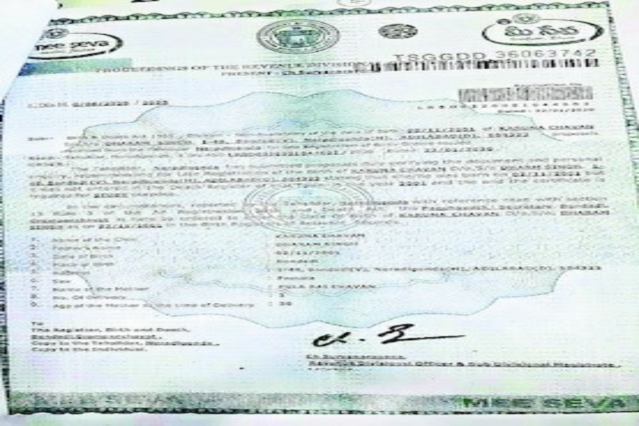 fake certificates