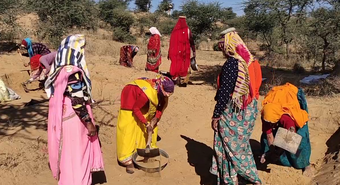 MGNREGA Scheme in Rajasthan,  MGNREGA Scheme Ground Report,  Rajasthan MGNREGA Scheme Report,  राजस्थान मनरेगा योजना ग्राउंड रिपोर्ट,  कोरोना काल में मनरेगा योजना राजस्थान,  MGNREGA scheme in the Corona era