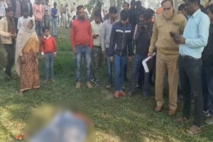 Stray dogs maul teenager to death in Uttar Pradesh