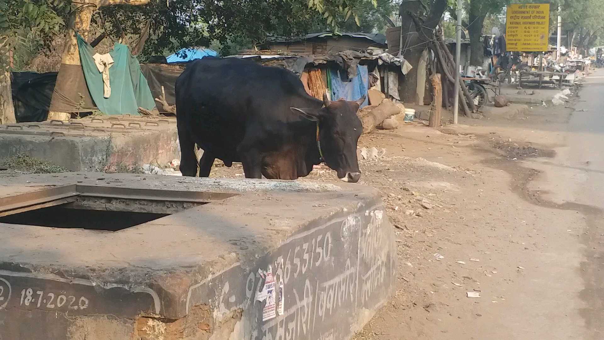 difficulty of gau seva Due to lack of budget in mp