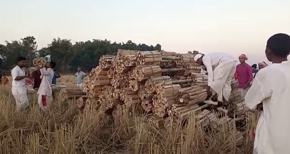 preparation-for-magh-bihu-at-chabua