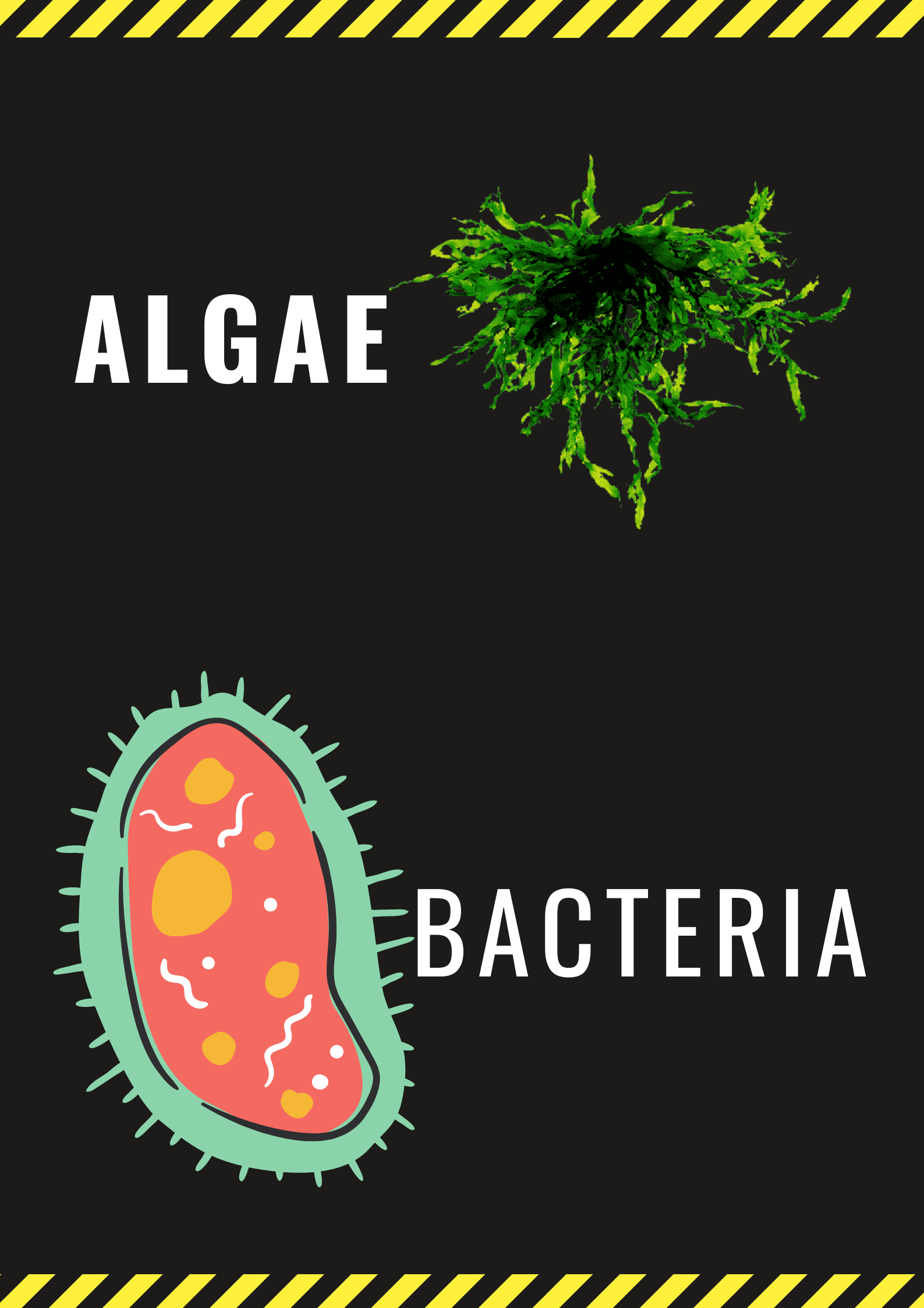 what do micro organisms do, microbiology