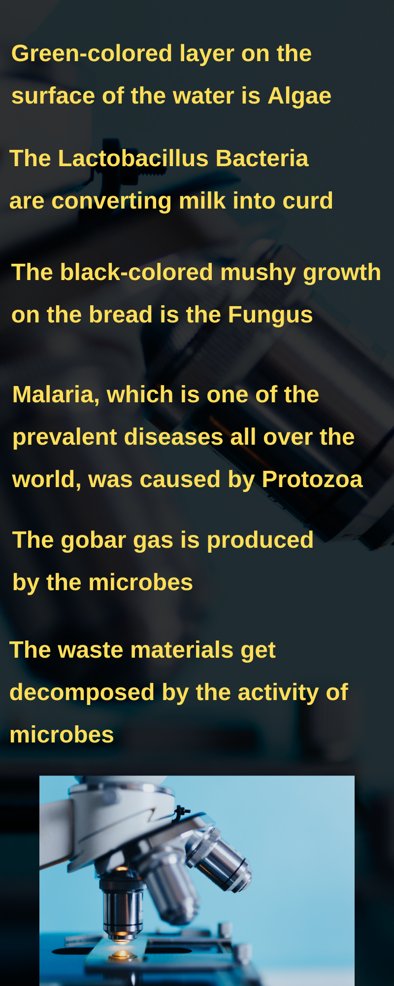 what do micro organisms do, microbiology