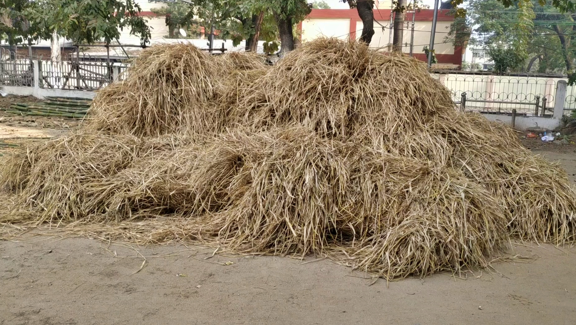 guwahati bhogali bihu