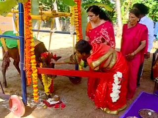 Udupi 'Hosa belaku' ashram have organize the seemantham for the cow