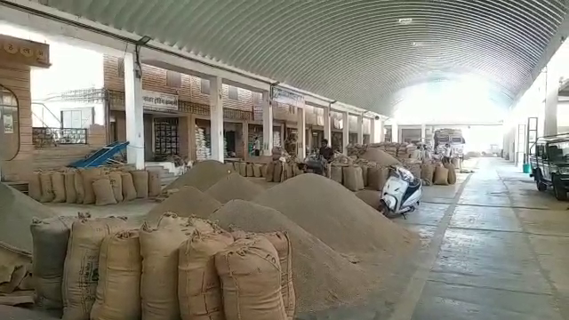 farmers will get profit from cumin, काजरी के वैज्ञानिकों की पहल