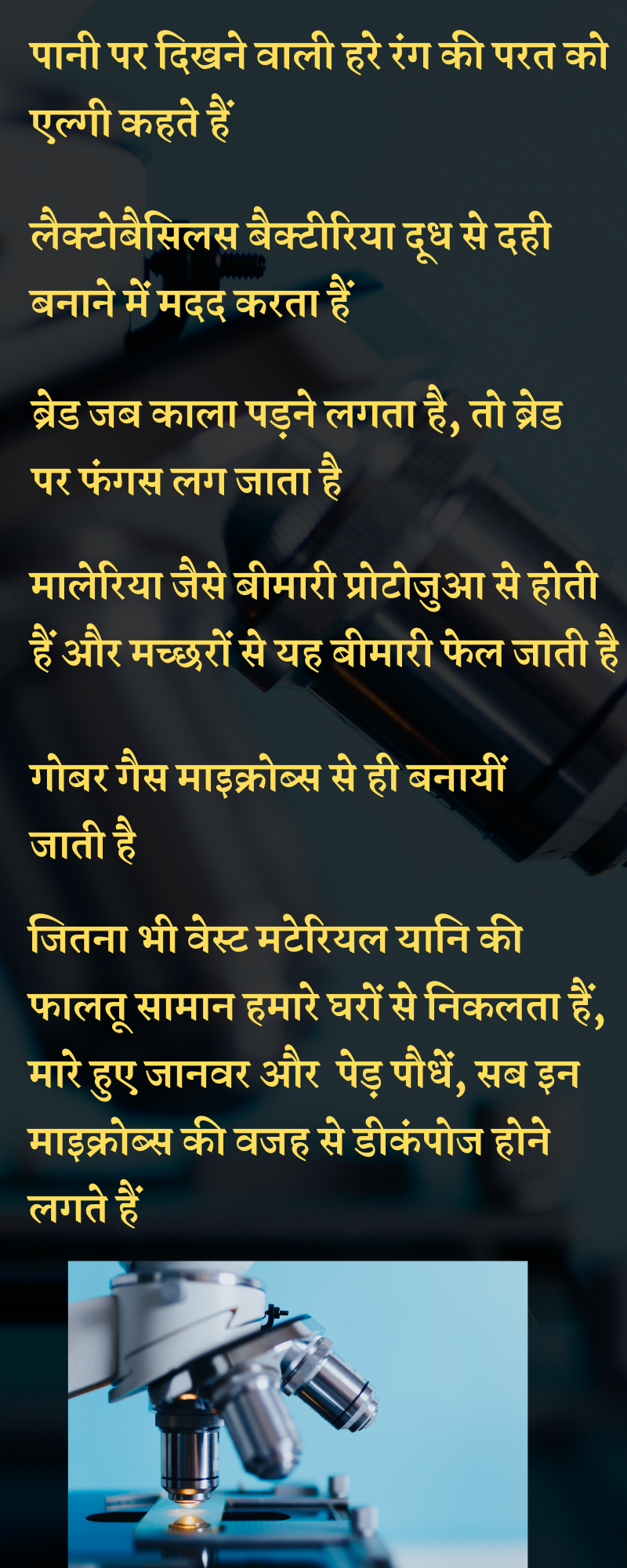 रोजमर्रा की जिन्दगी को कैसे प्रभावित करते है माइक्रोऑर्गैनिस्मस, माइक्रोब्स