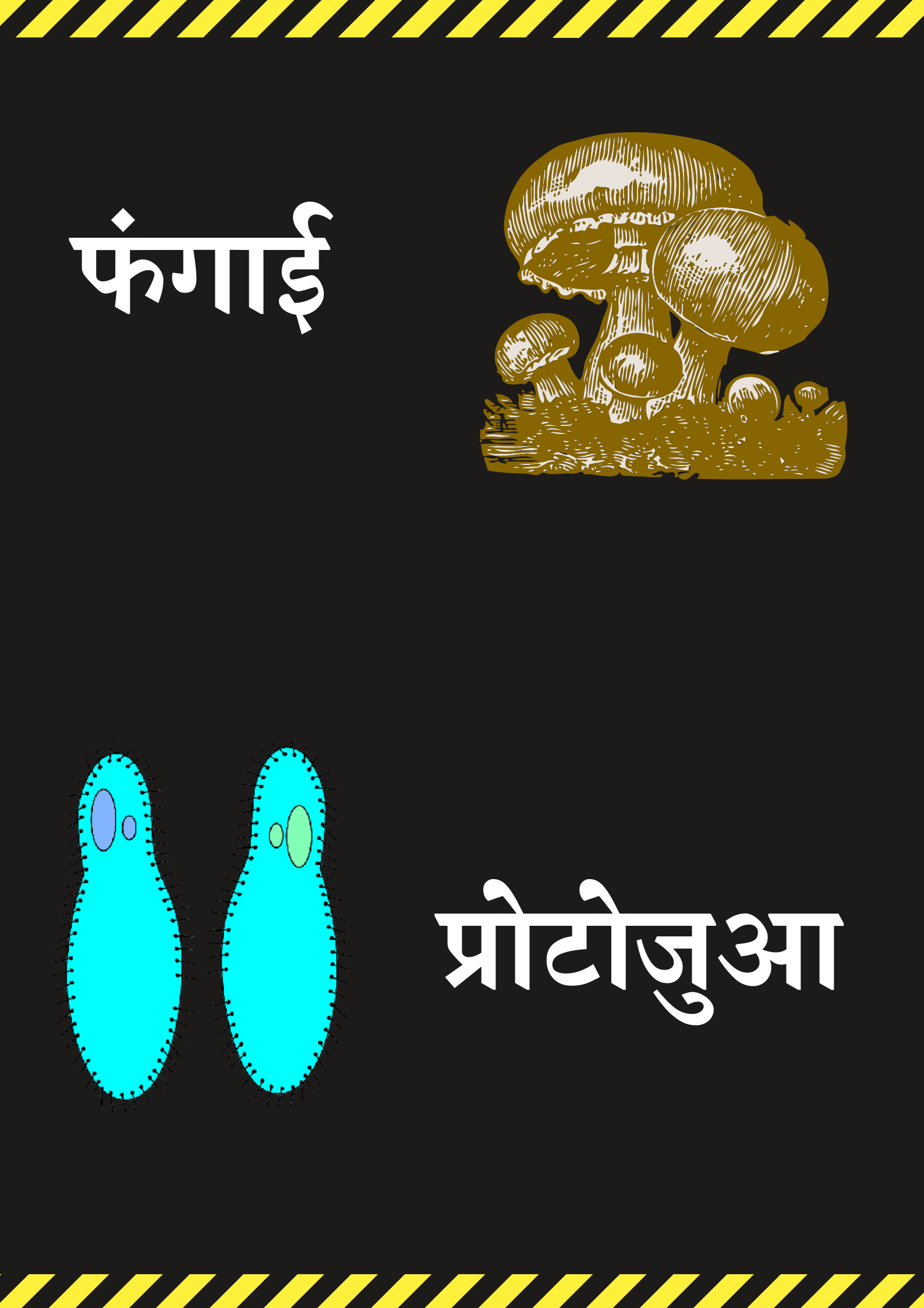 रोजमर्रा की जिन्दगी को कैसे प्रभावित करते है माइक्रोऑर्गैनिस्मस, माइक्रोब्स