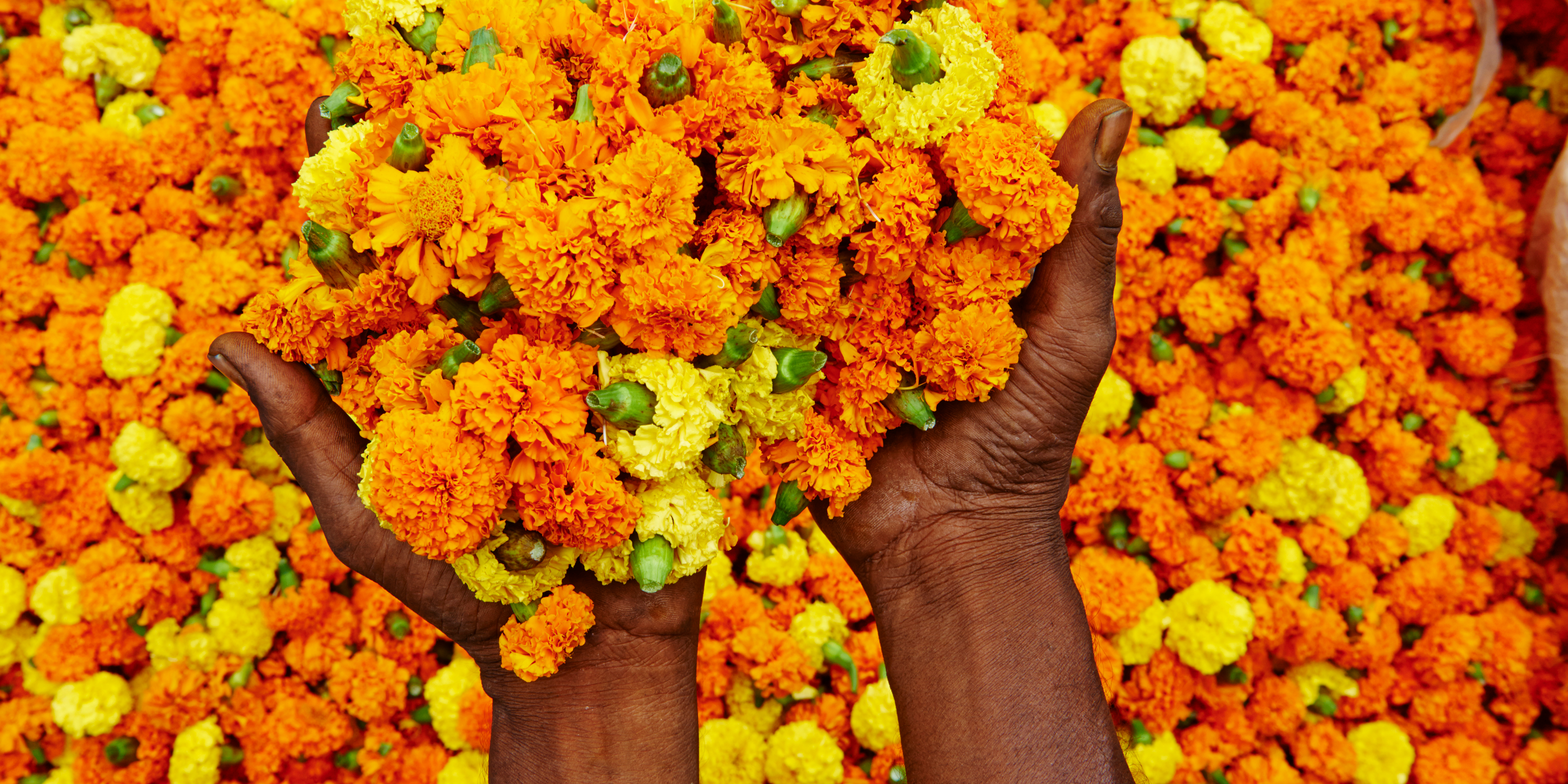 indigenous marigold, vocal for local, wedding decoration