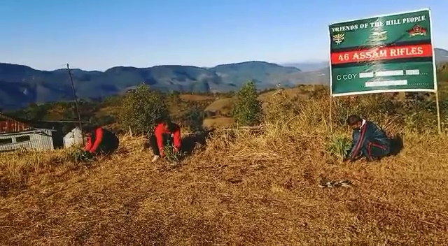 Bamboo plantation drive at the Indo Myanmar border by Assam rifles