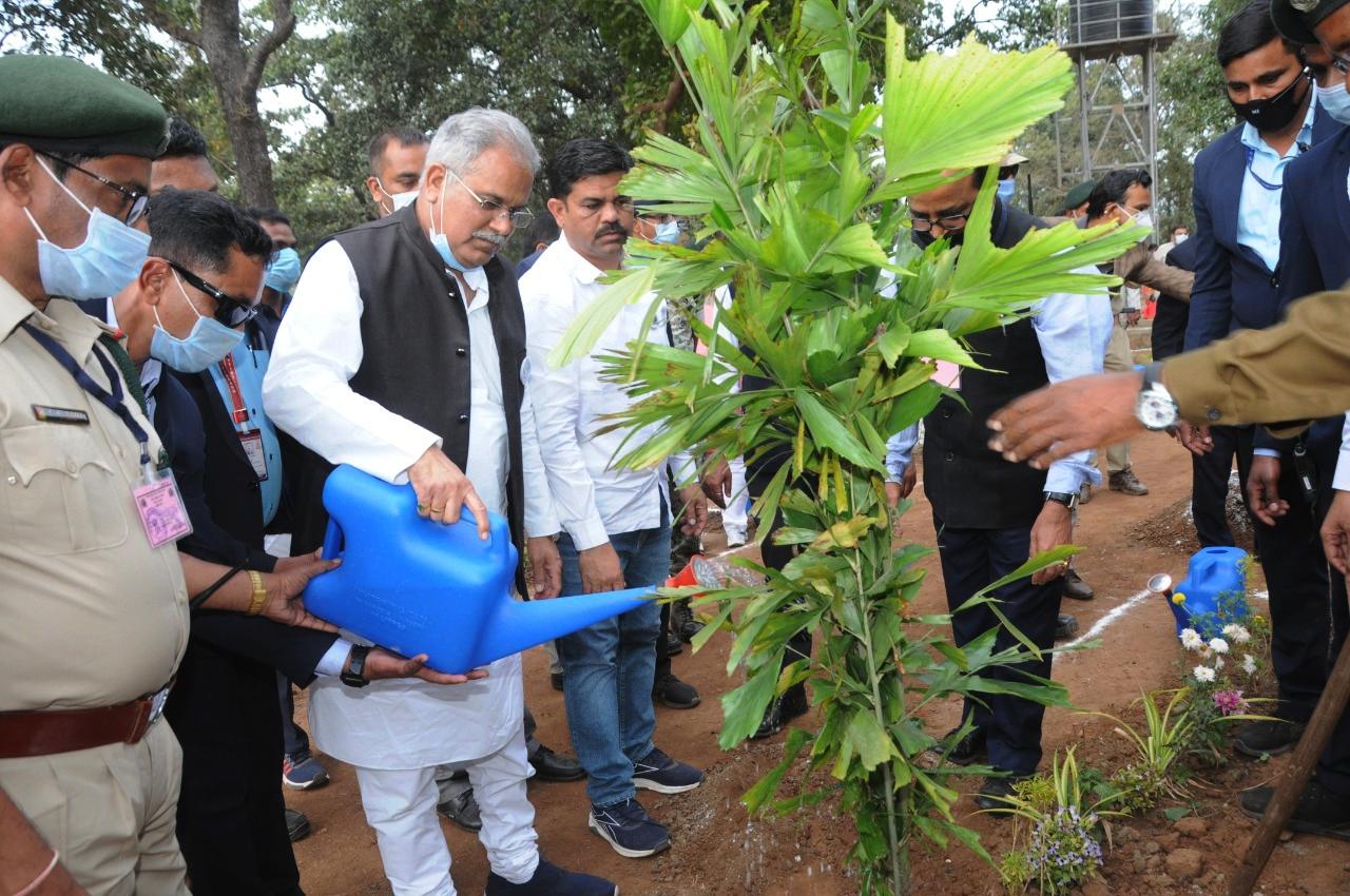 CM did plantation