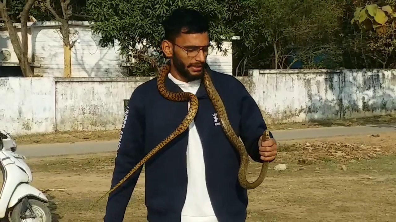 man saving the life of snakes and humans