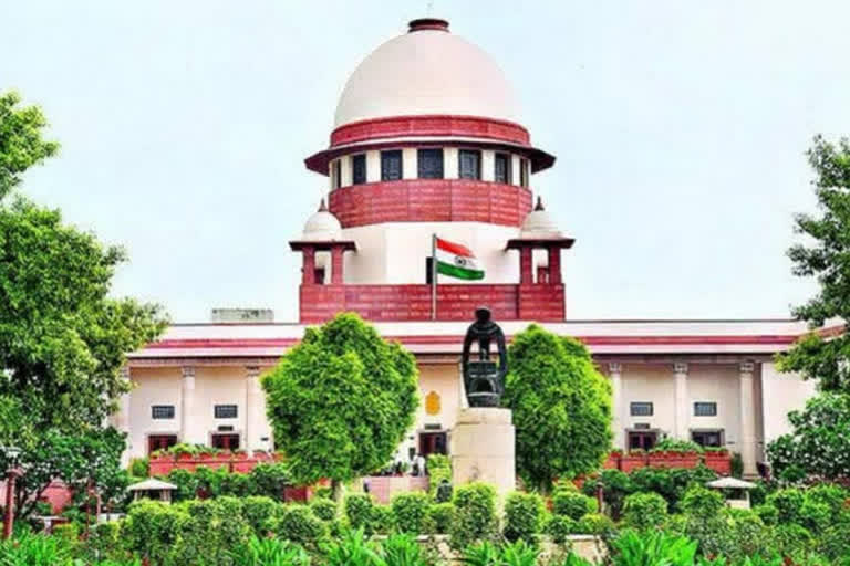 Hearing on the validity of agricultural laws in the Supreme Court