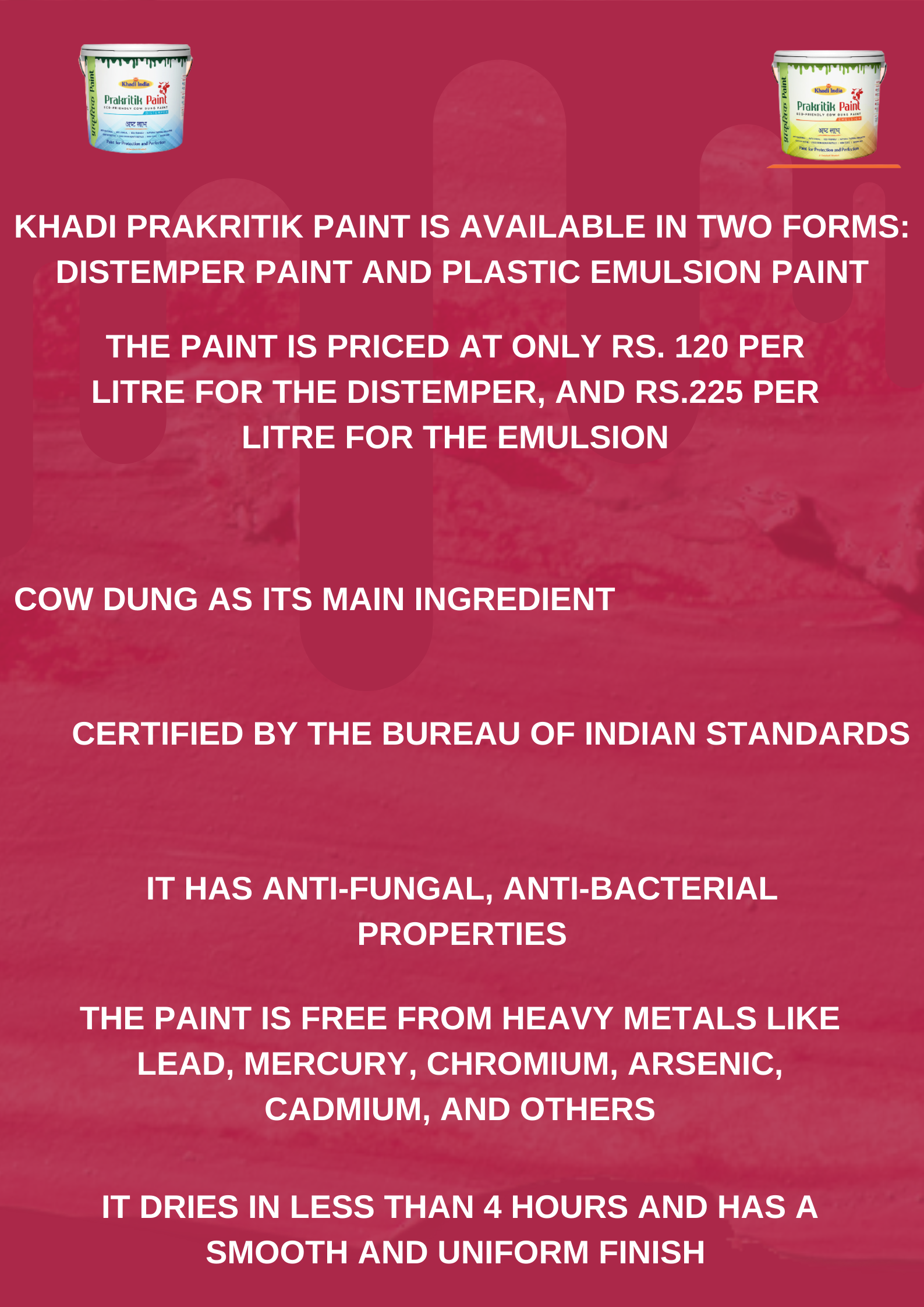 Khadi Prakritik Paint, facts about 'Khadi Prakritik Paint