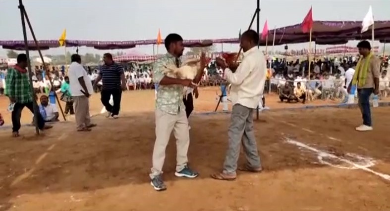 cock fights in bapulapadu