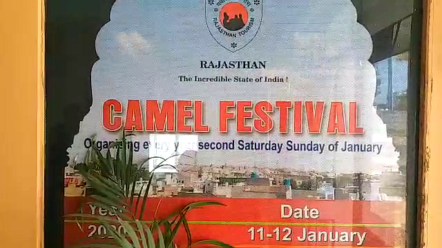 बीकानेर कैमल फेस्टीवल खबर,  बीकानेर ऊंट उत्सव विदेशी सैलानी,  Bikaner Tourism & Hotel Industry,  Bikaner camel festival foreign tourists,  Bikaner Camel festival news,  Rajasthan Bikaner tourism news