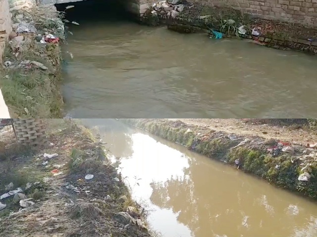 Shri Ganga Nagar news  Gangahars getting polluted  प्रदूषित होती गंगनहर  श्रीगंगानगर न्यूज  Problem with polluted water  Polluted water in Sriganganagar  प्रदूषित पानी से समस्या  श्रीगंगानगर में प्रदूषित पानी  ग्रीन ट्रिब्यूनल  National Green Tribunal Act  राष्ट्रीय हरित अधिकरण