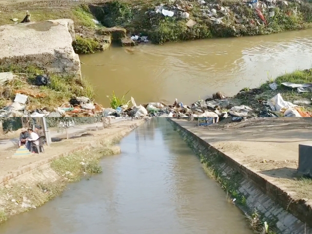 Shri Ganga Nagar news  Gangahars getting polluted  प्रदूषित होती गंगनहर  श्रीगंगानगर न्यूज  Problem with polluted water  Polluted water in Sriganganagar  प्रदूषित पानी से समस्या  श्रीगंगानगर में प्रदूषित पानी  ग्रीन ट्रिब्यूनल  National Green Tribunal Act  राष्ट्रीय हरित अधिकरण  Canal water getting contaminated