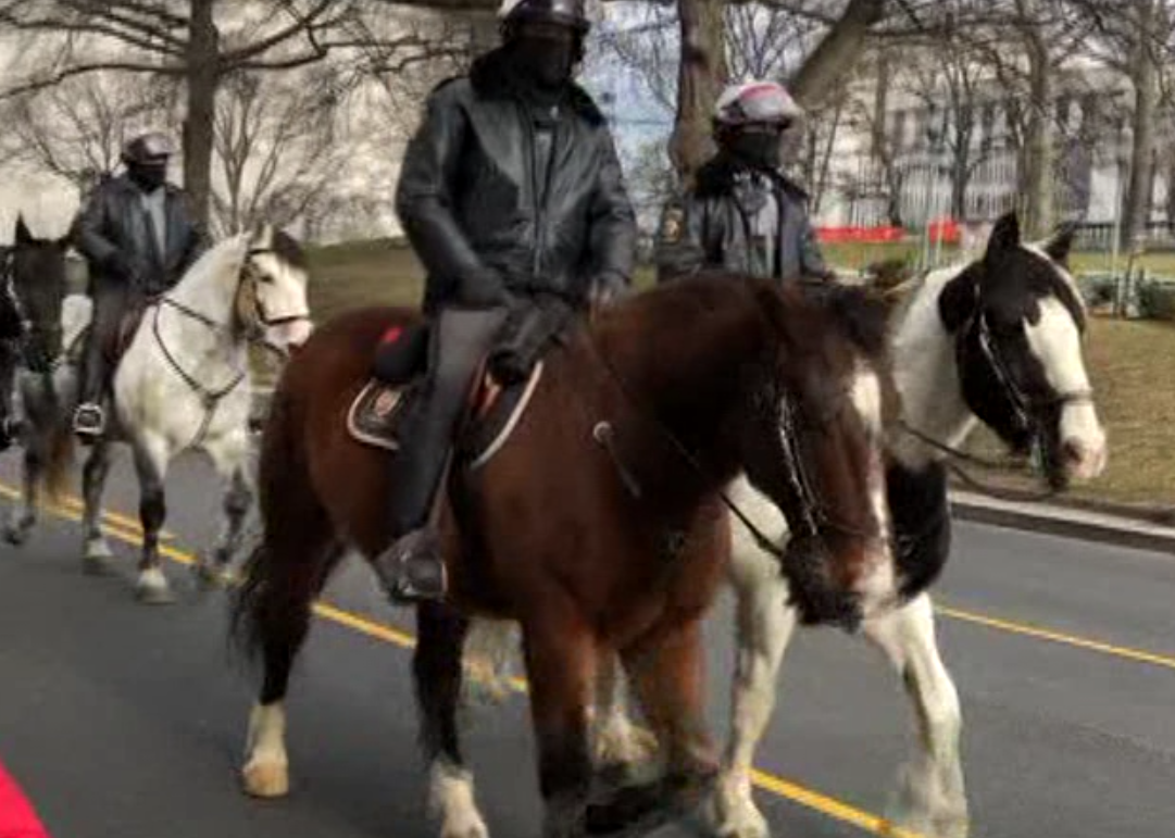 Washington DC converted into garrison city ahead of Biden's inauguration as threat looms large