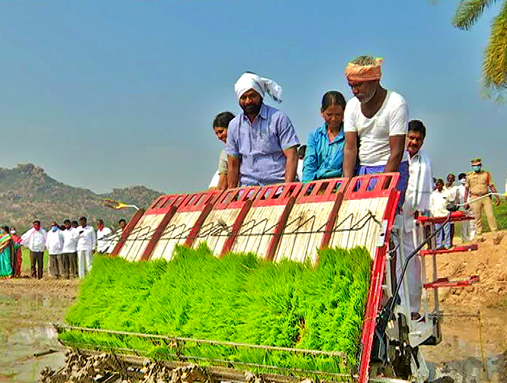 -advanced-technology-in-cultivation