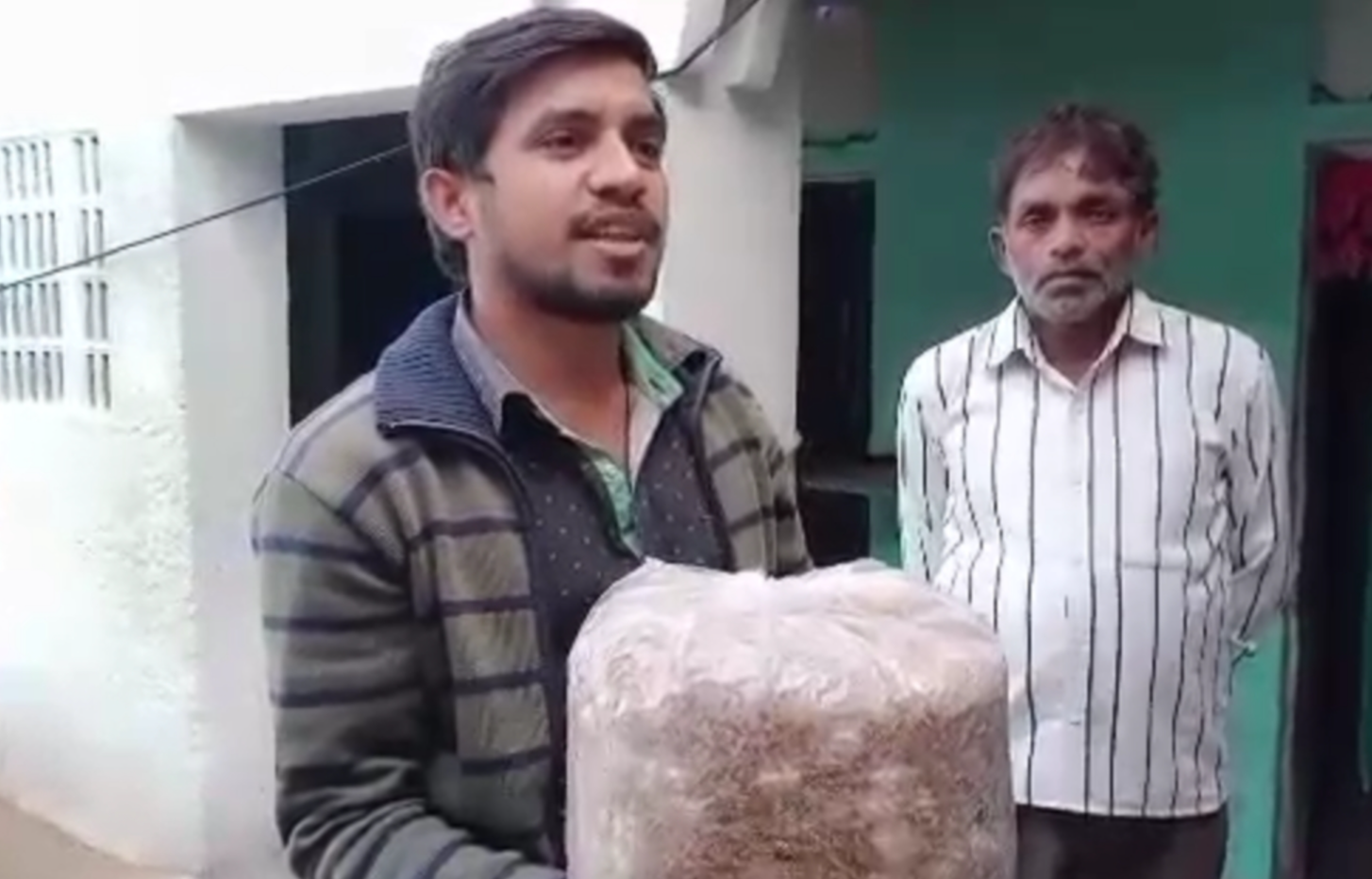 organic manure from parali