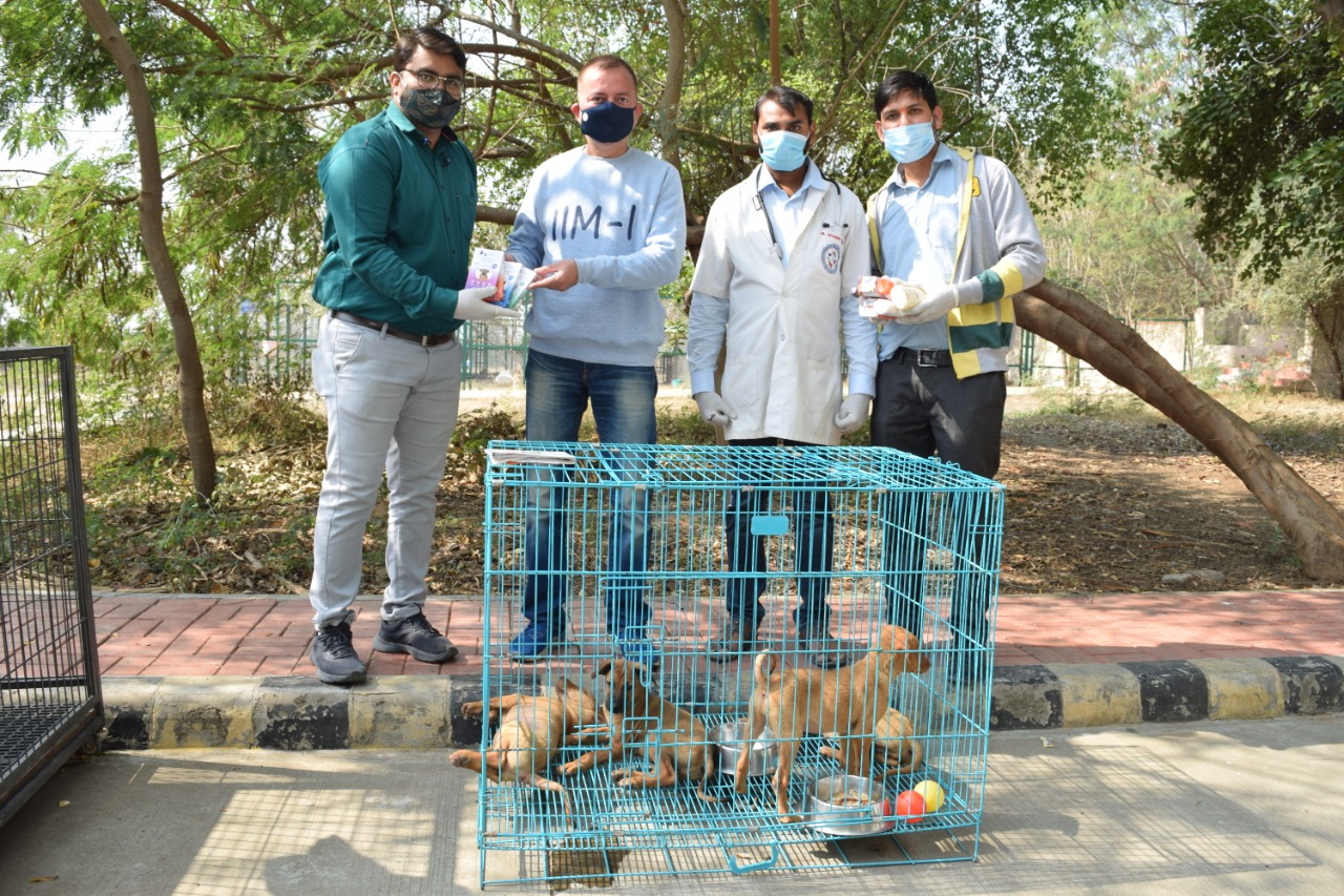 Dog vaccination camp