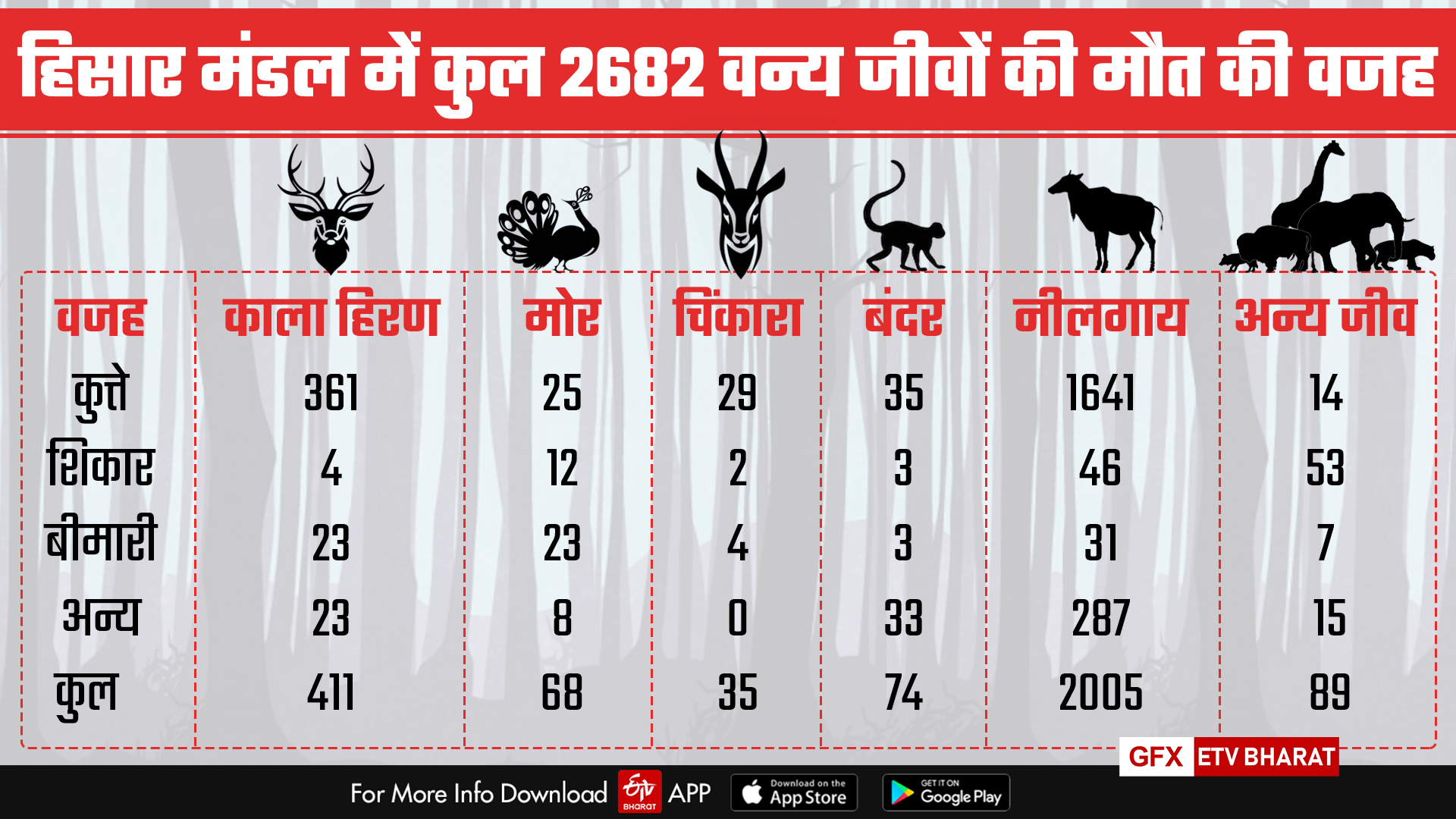 report-on-more-than-two-thousand-five-hundred-protected-wild-animals-die-in-haryana-rajasthan-forest-area-in-five-years