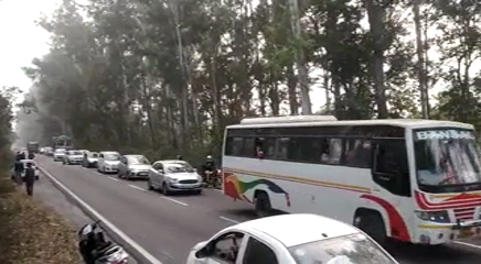 video-of-elephants-coming-on-highway-in-tanda-forest-area-is-going-viral-on-social-media