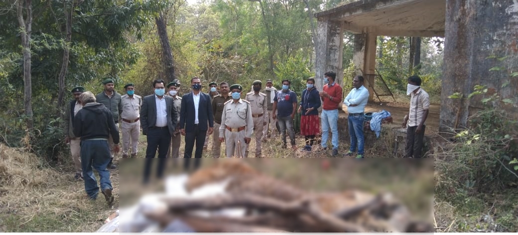 Dead leopard found in the forest