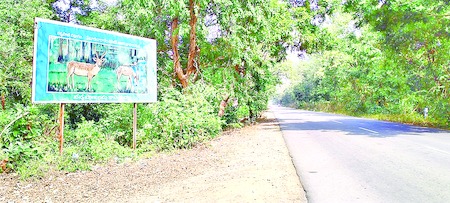 National Highway 163 from the sanctuary