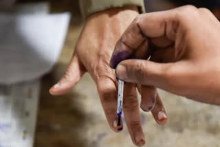 Urban local body elections in Rajasthan