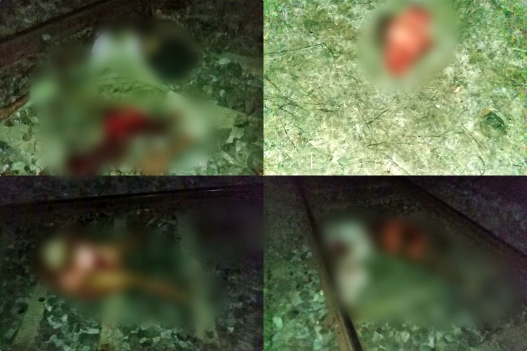 four people committed suicide,  four people committed suicide in Belagavi,  four people committed suicide in Raibag, Belagavi crime news, Belagavi family suicide news, ಒಂದೇ ಕುಟುಂಬದ ನಾಲ್ವರು ಆತ್ಮಹತ್ಯೆ, ಬೆಳಗಾವಿಯಲ್ಲಿ ಒಂದೇ ಕುಟುಂಬದ ನಾಲ್ವರು ಆತ್ಮಹತ್ಯೆ, ರಾಯಭಾಗದಲ್ಲಿ ಒಂದೇ ಕುಟುಂಬದ ನಾಲ್ವರು ಆತ್ಮಹತ್ಯೆ, ಬೆಳಗಾವಿ ಅಪರಾಧ ಸುದ್ದಿ, ಬೆಳಗಾವಿ ಕುಟುಂಬ ಆತ್ಮಹತ್ಯೆ ಸುದ್ದಿ,