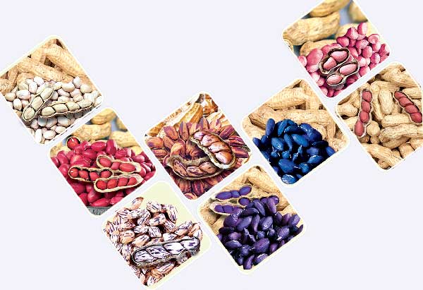 groundnuts-are-healthy-snacks-and-it-have-many-nutrients