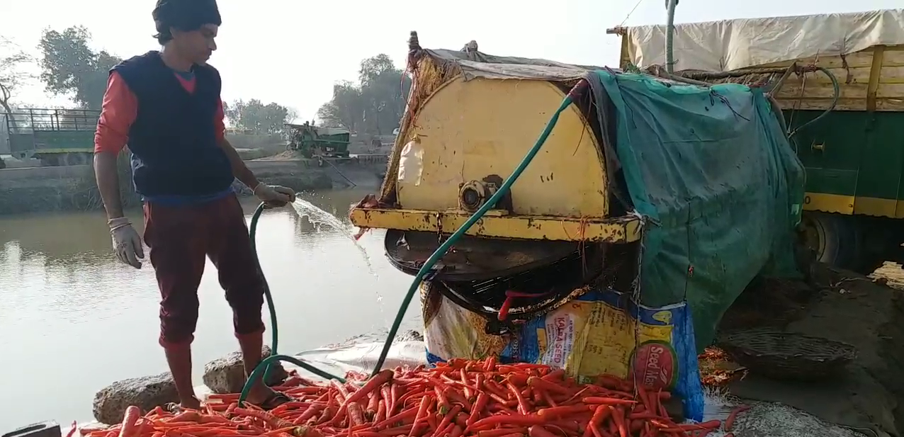farmers using jugad machine to wash carrot, मशीन से गाजरों की धुलाई