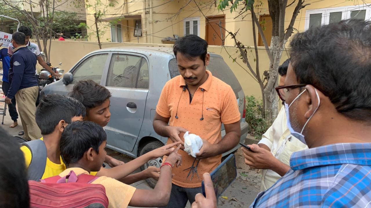 Eagle ans stork got injured due to china manja in Hyderabad