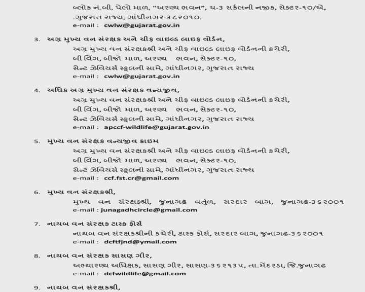 જૂનાગઢમાં 8 સિંહને ગેરકાદયેસર કેદ કરનારા અધિકારીઓ સામે કાર્યવાહી કરવા માગ