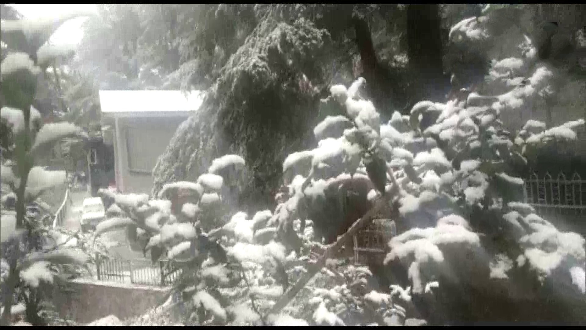 blanket of snow in Himachal Pradesh