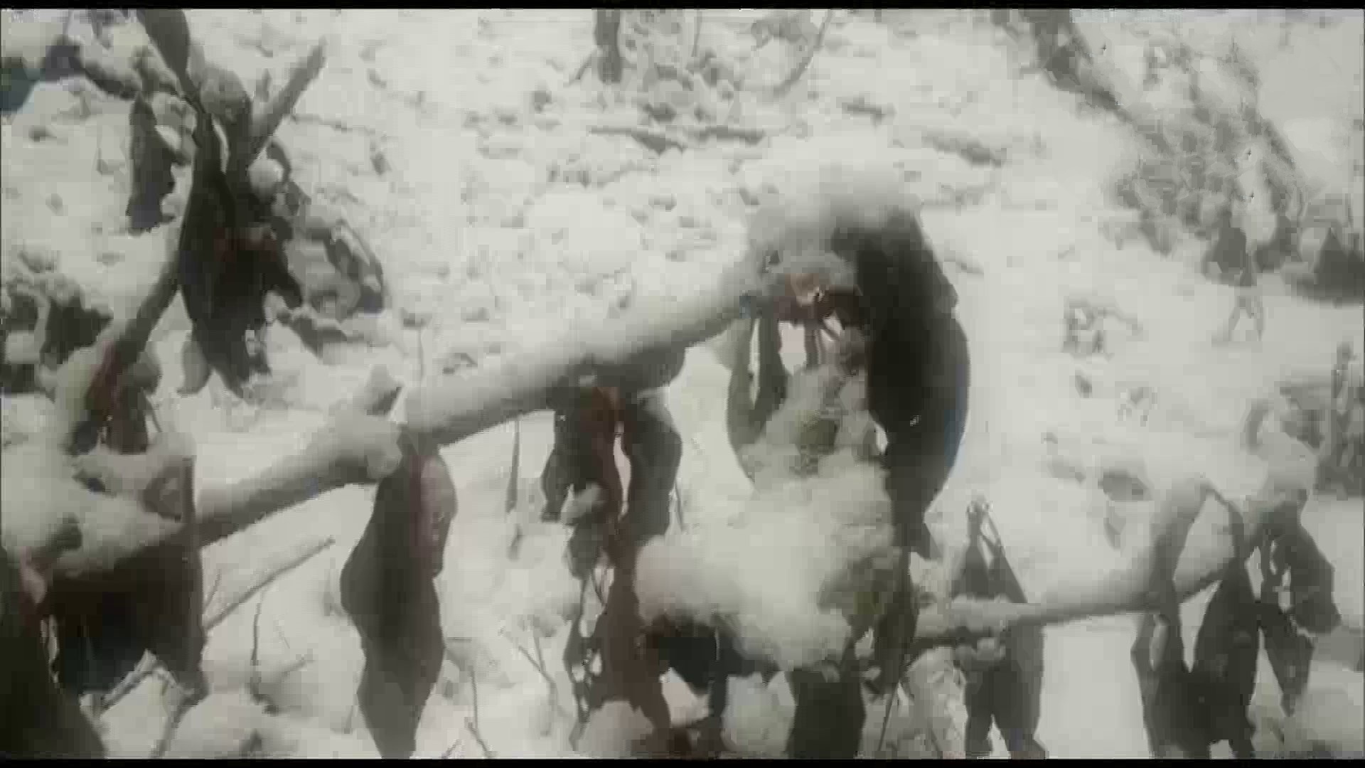 blanket of snow in Himachal Pradesh