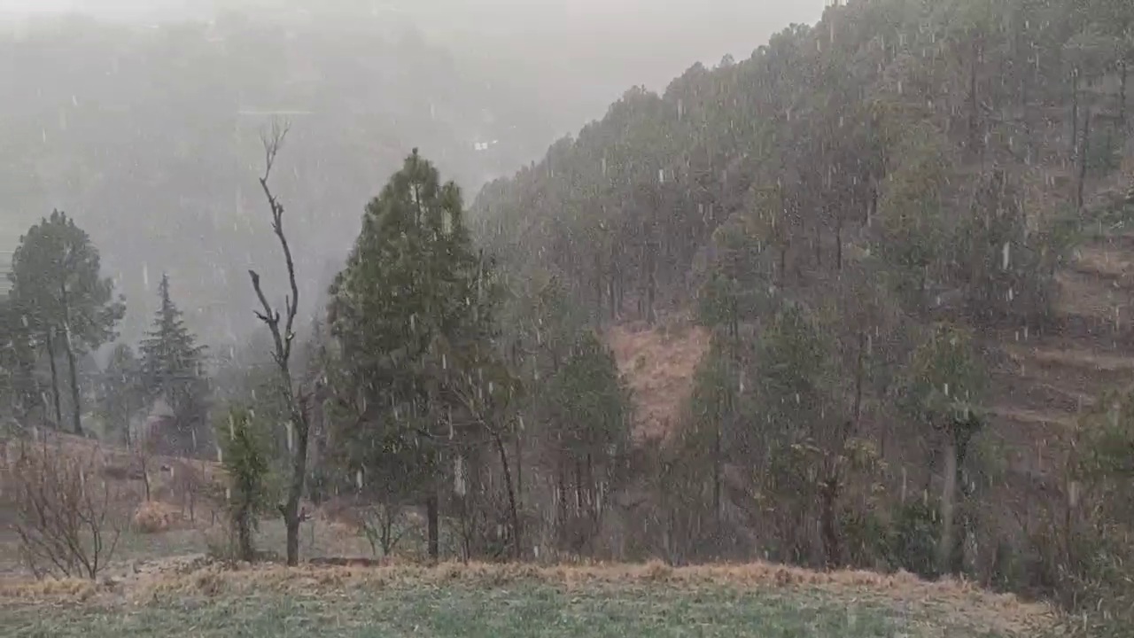 snow and rainfall in karsog