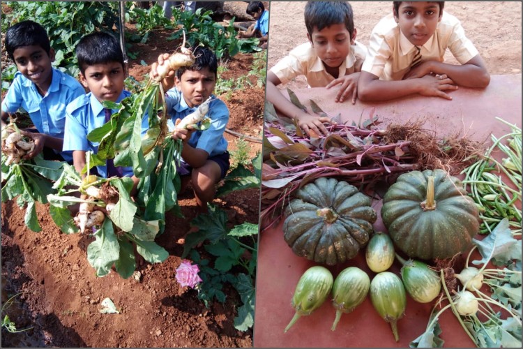 Govt School teachers created Eco friendly Flower pot