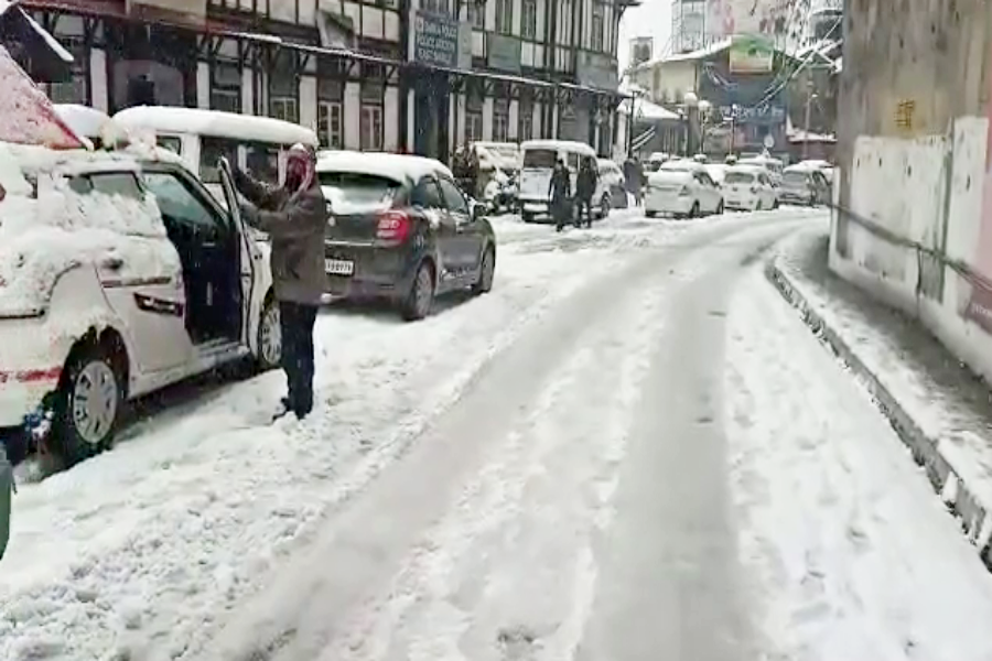 SNOWFALL SHIMLA