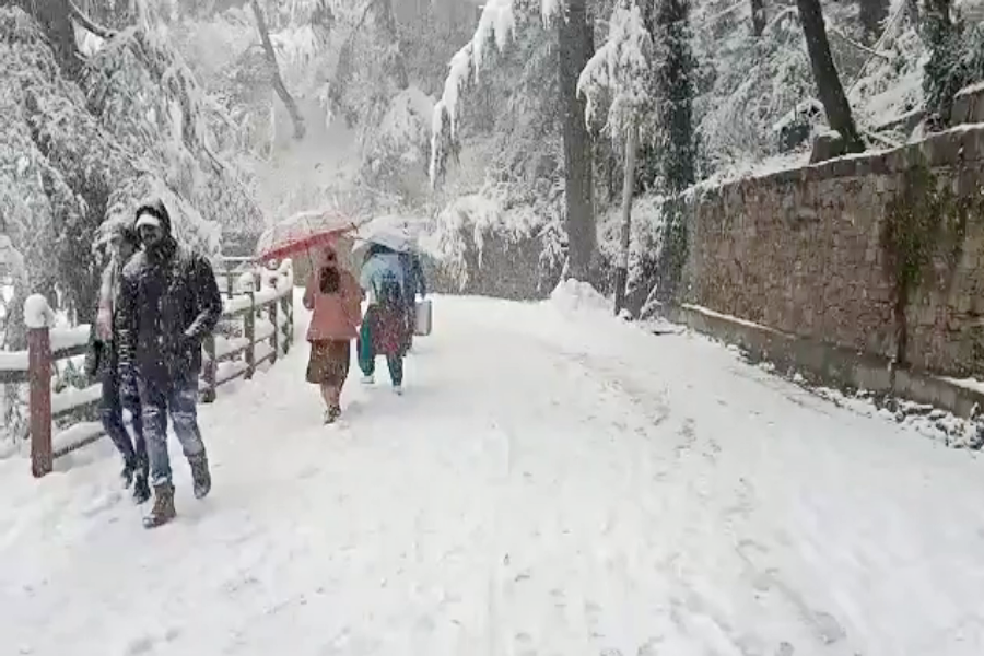 SNOWFALL SHIMLA