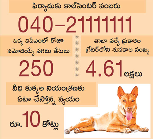 The problem of street dogs in Hyderabad is serious.