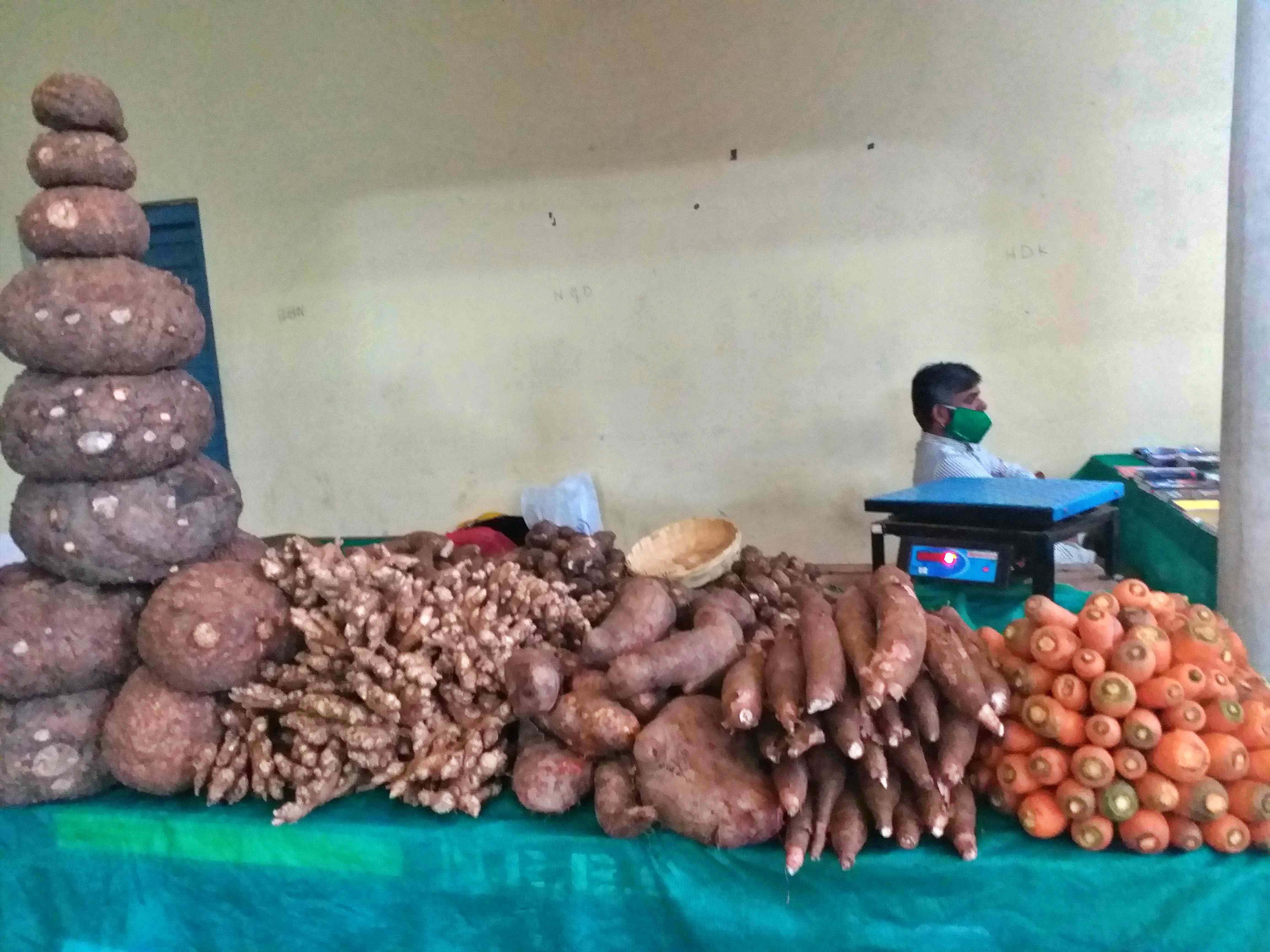 mysore-tuber-potato-fair