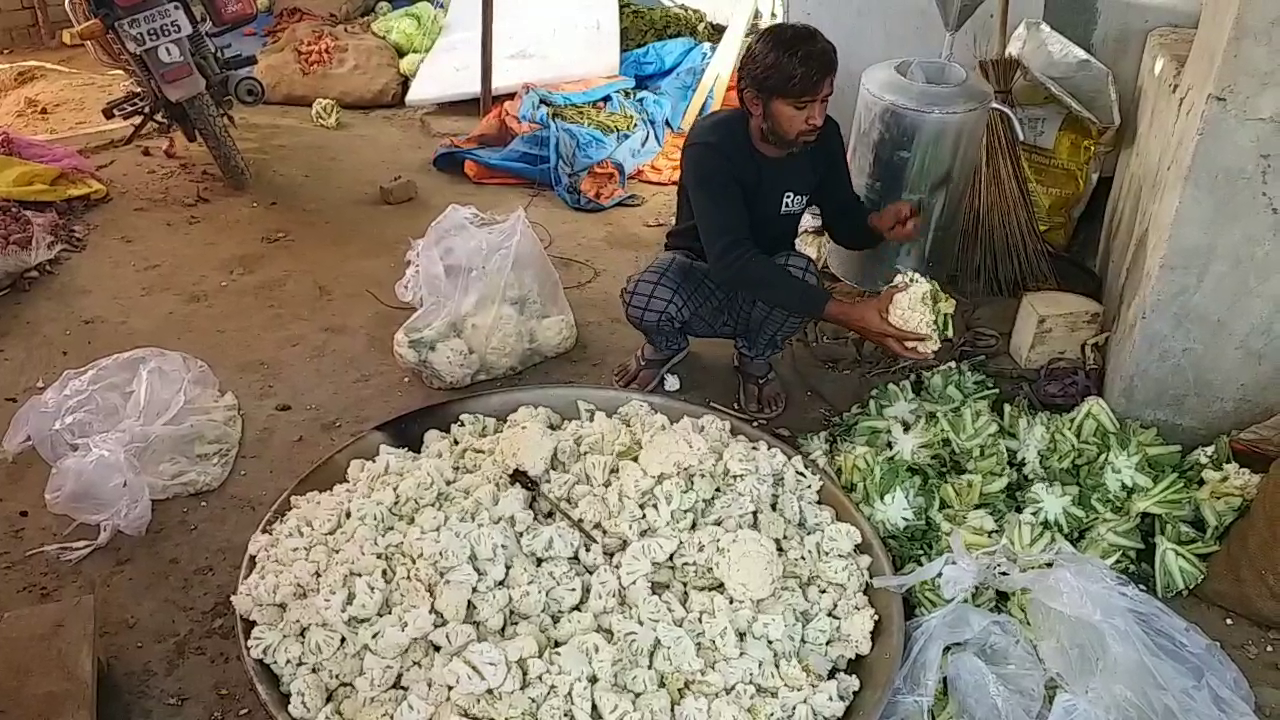 Farmers gave food to drivers, किसानों ने वाहन चालकों को दिया खाना